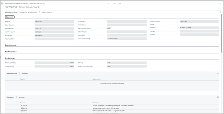 Inkassoakten-Karte mit Details